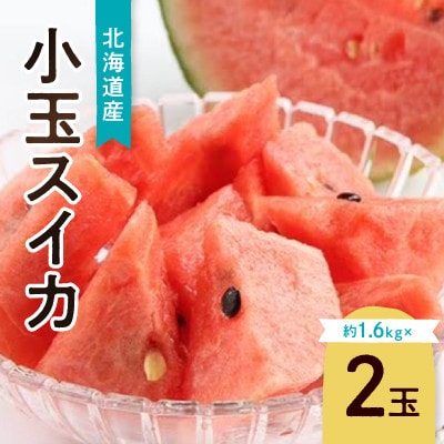 先行受付　北海道産小玉スイカ約1.6kg×2玉_02063【配送不可地域：離島】【1455259】