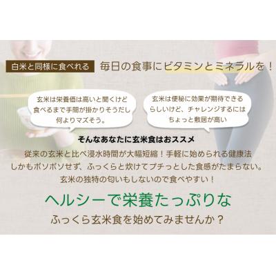 ふるさと納税 阿賀野市 【令和7年産】【12ヶ月定期便】ふっくら玄米食 6kg(2kg×3)×12回 米杜氏 |  | 02