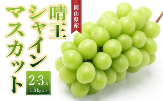 ぶどう［2024年先行予約］晴王 シャインマスカット 2房～3房（1.5kg以上）岡山県産 