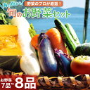 【ふるさと納税】 野菜 セット 7~8品 旬 野菜の詰め合わせ おたのしみ 新鮮 高知 須崎 トマト 人参 タマネギ ブロッコリー ほうれん草 白菜 キャベツ レタス 大根 サツマイモ オクラ ししとう にんにく なす キャベツ 里芋 サツマイモ