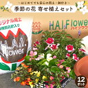 【ふるさと納税】 寄せ植え 花 季節のお花 12ポット 用土 鉢 付き ガーデニング プレゼント 育成セット 日用品 園芸 花苗 おすすめ セット 母の日 季節 お花 贈り物 農事組合法人ハイフラワー 埼玉県 羽生市