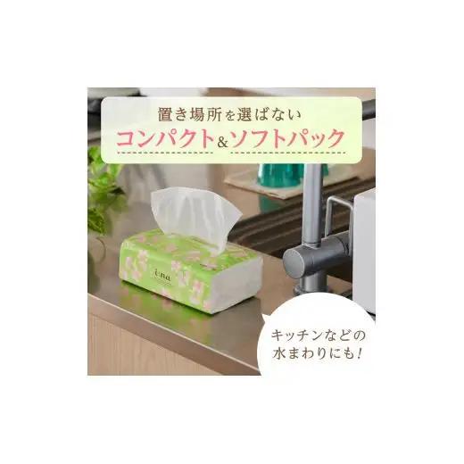 エリエール ｉ：ｎａ（イーナ）ティシュー ソフトパック 200組6パック×10（60パック）