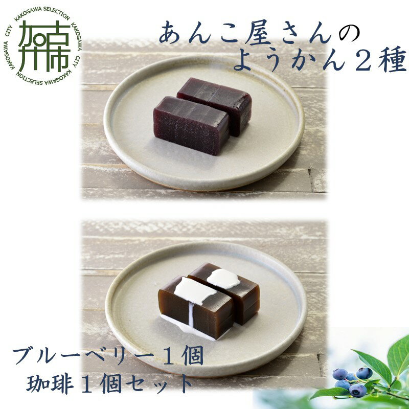 【ふるさと納税】【レビューキャンペーン】【老舗の味】あんこやさんの「ようかん2種」(ブルーベリー1個・珈琲1個セット)《 珈琲ようかん ブルーベリーようかん ようかん あんこ 老舗 お菓子 和菓子 おすすめ 贈答用 プレゼント こだわり セット 詰め合わせ ふるさと納税 》