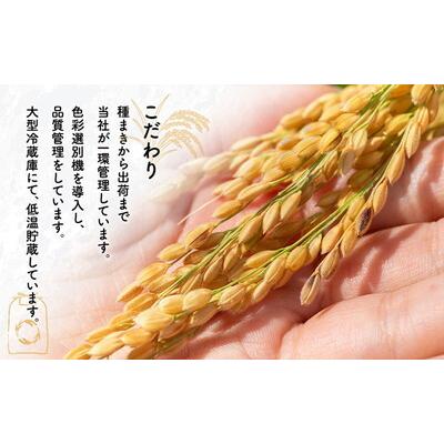 ふるさと納税 能代市 【令和8年度産】新米 あきたこまち 5kg 精米 秋田県産[No.5409-0019] |  | 03