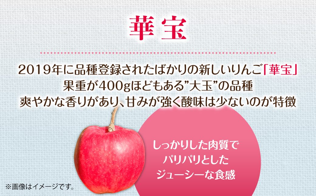 【先行予約】＜2026年10月上旬よりお届け＞北海道壮瞥町　りんご　品種名「華宝」10～16玉約5kg SBTF015
