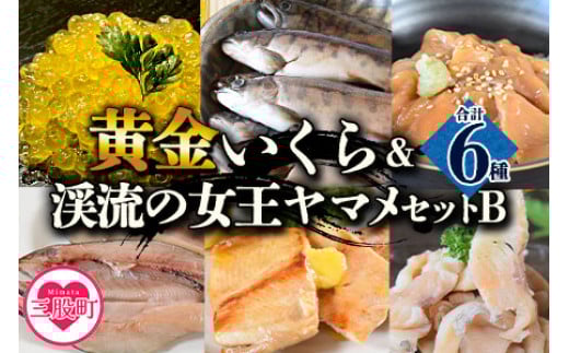 
            ＜黄金イクラと渓流の女王ヤマメ逸品セットB＞(6種)黄金イクラやヤマメなどを詰め合せ！【B-0206-sk】【有限会社しゃくなげの森】
          