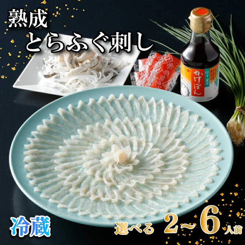 【ふるさと納税】 【お届け指定日必須】 熟成 とらふぐ 刺し 選べる容量 2～3人前 5～6人前 冷蔵 ふぐ 刺身 ふぐ刺 皮 ねぎ もみじおろし ぽん酢 トラフグ 高級魚 フグ刺し 海鮮 魚介 お祝い ギフト プレゼント 記念日 父の日 母の日 お中元 御歳暮 お取り寄せ 下関 山口