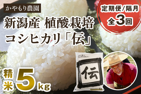 【令和7年産】【定期便3回隔月お届け】新潟産コシヒカリ「伝」白米真空パック 精米5kg 《順次出荷》