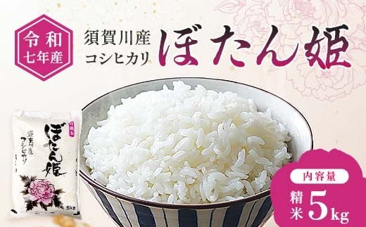 
                  令和7年産 須賀川産コシヒカリ「ぼたん姫」精米 5kg ブランド米 お米 白米 人気 F7X-0651
                