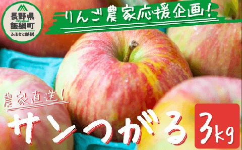 りんご サンつがる 家庭用・訳あり3kg  農家応援企画 【令和5年度収穫分】※沖縄県への配送不可 ※2023年8月下旬頃?9月中旬頃まで順次発送 長野県飯綱町[0786]