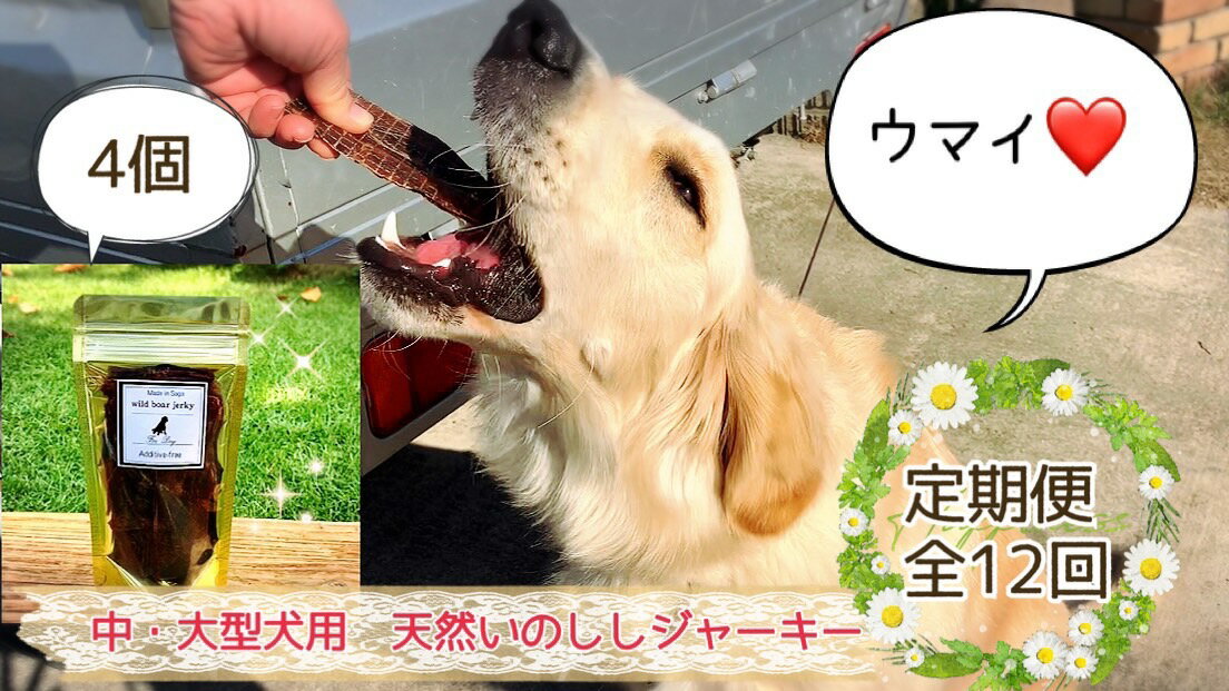 【ふるさと納税】中〜大型犬向け☆天然いのししスモークジャーキー4個【定期便】全12回（FB089）