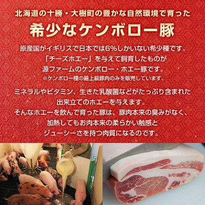 ケンボロー・ホエー豚のスライス肉1.2kgとひき肉800gセット【CT-018】【配送不可地域：離島】【1396951】