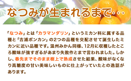 ＜先行予約＞初夏のみかん なつみ 約 3kg 株式会社 魚鶴商店 みかん 蜜柑