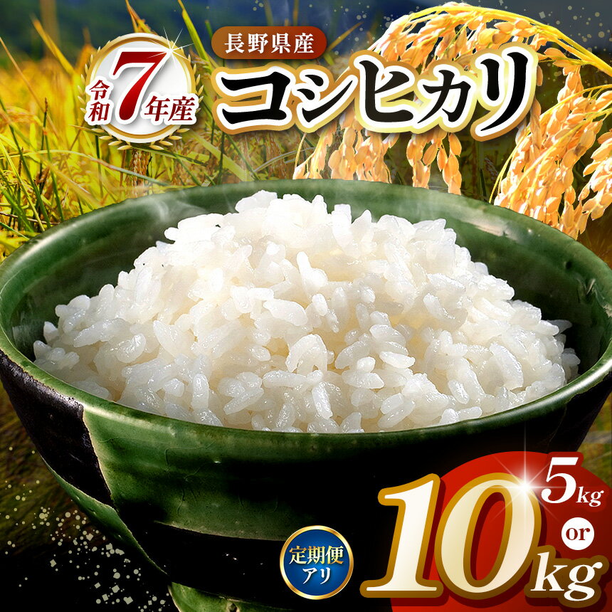 【ふるさと納税】【選べる】定期便 令和7年度　伊那市田原産米　コシヒカリ　5キロ or 10キロ 【014-50】【027-17】｜ 米 コシヒカリ 田原産 お米 伊那 伊那産 長野県 ふるさと納税