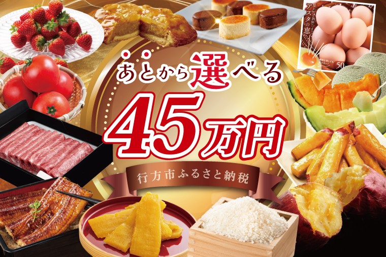 
                  ★あとから選べる★茨城県行方市ふるさとギフト 寄附額：45万円分｜あとから選べる 後から選べる 選べる ギフト 肉 お肉 米 お米 コシヒカリ ミルキークイーン さつまいも サツマイモ 芋 お芋 うなぎ 干し芋 紅はるか スイーツ カタログ 45万円 茨城県 行方市 人気(CU-340)
                