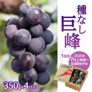 福岡ぶどう定期便【全3回】ぶどう食べ比べ便　JAふくおか八女からお届け！！　002-T002