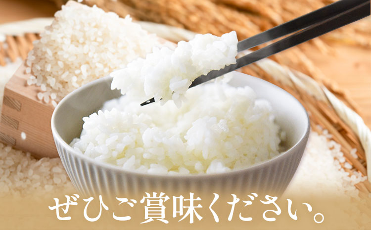 ひのひかり 米 2kg《30日以内に出荷予定(土日祝除く)》かじや農産 お米 ご飯 白米 白飯 こめ 鹿児島県 さつま町