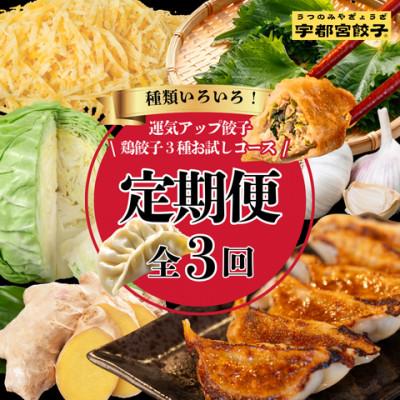 ふるさと納税 宇都宮市 【毎月定期便】宇都宮餃子　運気アップ鶏餃子3種お試しコース(毎月1種・18個入り・冷凍)全3回