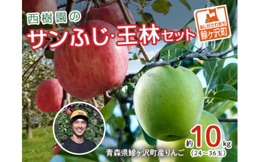 
                  《先行予約》 りんご 特選 サンふじ 王林 詰合せ 青森県産 約 10kg  (24～36玉） フルーツ 果物 ふじ 産地直送 お取り寄せ 送料無料 青森県 鰺ヶ沢町 《西樹園》
                