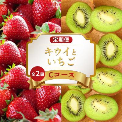 ふるさと納税 丸亀市 【発送月固定定期便】フルーツ定期便 Cコース (香緑キウイ いちご)香川県丸亀市全2回