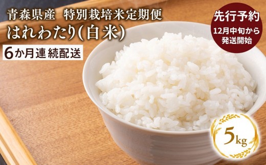 
                  ≪令和8年産 先行予約≫12月中旬よりお届け! 【6カ月定期便】特別栽培米 はれわたり白米5kg×6回【青森県 平川市】先行予約 米 お米 玄米 青森県産 産地直送 おにぎり 朝ご飯 冷めてもおいしい ご飯  コメ こめ 白米 ごはん ブランド米 特A 特A米 お取り寄せ グルメ
                
