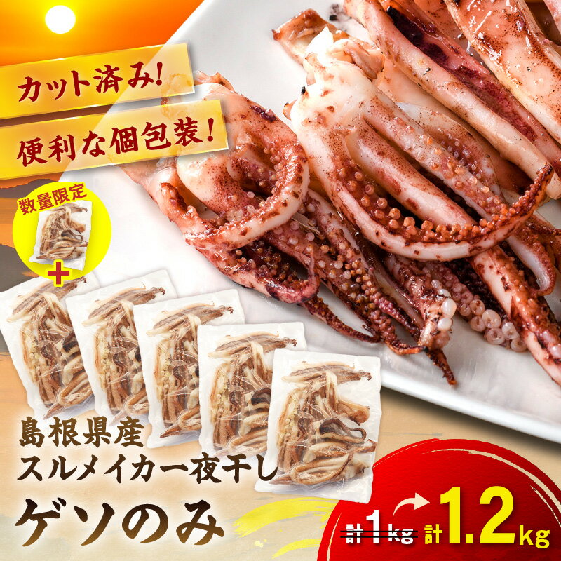 【ふるさと納税】【生活応援品】【訳あり】スルメイカ一夜干し”ゲソのみ” 計1,000g +1袋（200g）付き ふるさと納税 干物 イカゲソ 国産 人気 大容量 小分け 訳あり 塩味付 いか おつまみ 一夜干し 【005_2079】