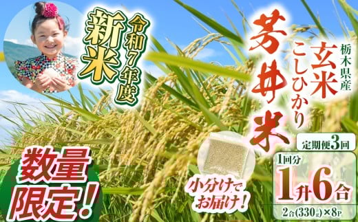 【定期便3回】【数量限定】【令和7年度新米先行予約】新米那珂川町産芳井米 玄米 330g（2合分）×8 | こしひかり 新米 米 ごはん  ふっくら もちもち  ふるさと納税 那珂川町 栃木県
