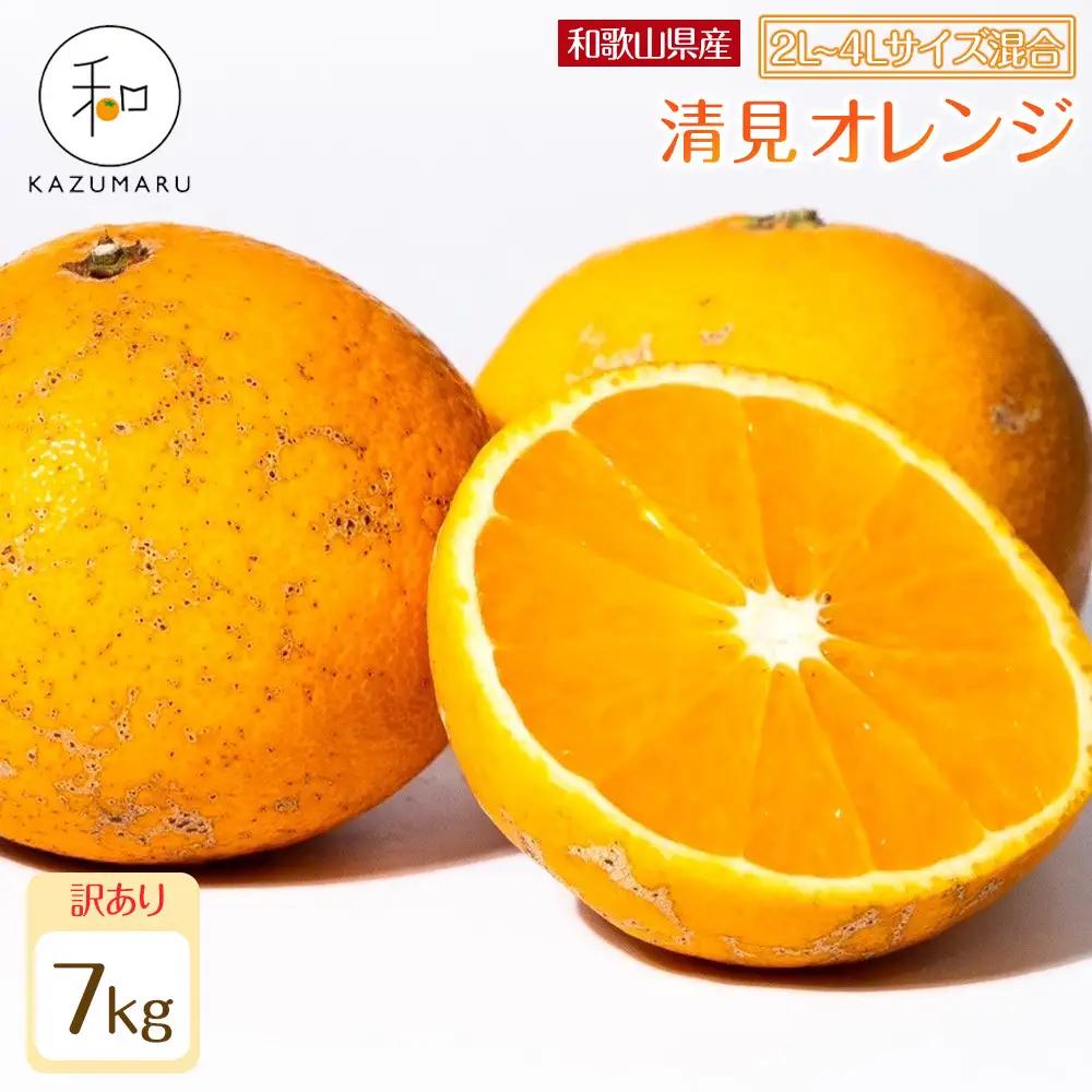 訳あり 森本農園の手選別 大玉清見オレンジ 約7kg 和歌山県産 2L~4Lサイズ混合 ［北海道・沖縄・離島配送不可］［2026年2月上旬から5月中旬頃順次発送予定］［RN103］