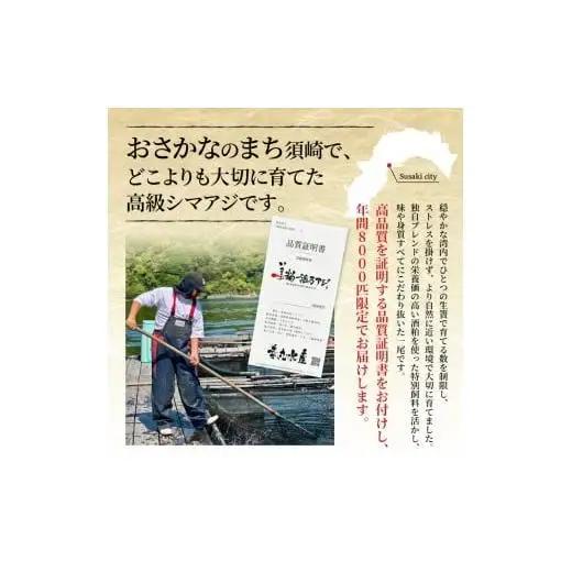 【 シマアジ 】 シマアジ美粕祇万2人前