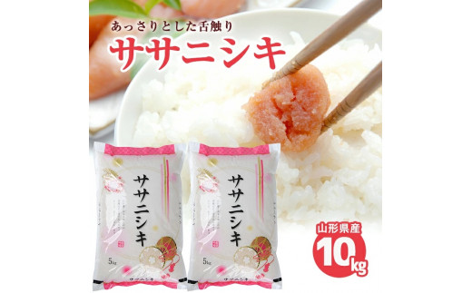 令和7年産【精米】ササニシキ　10kg(5kg×2袋) JS SC0692