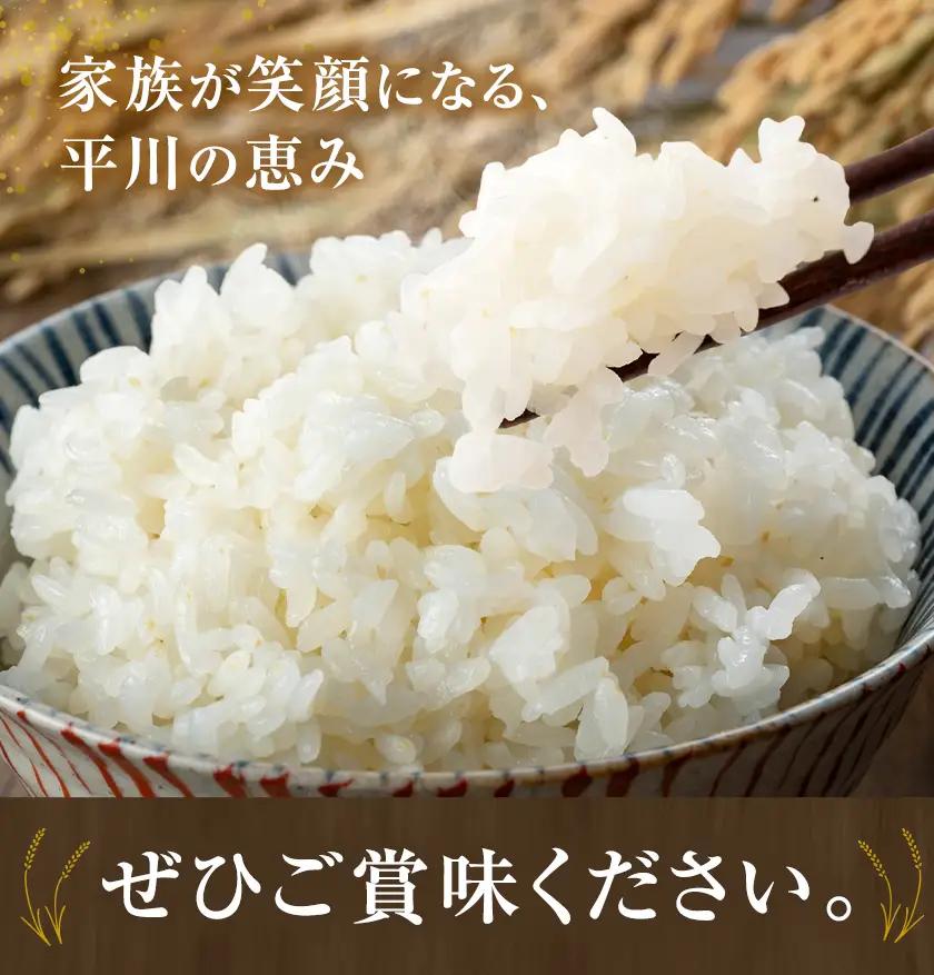 ひらかわ清流米 5kg×1袋 生産物直売所ひらかわ屋 《30日以内に出荷予定(土日祝除く)》お米 白米 鹿児島県 鹿児島県産 さつま町 精米 ごはん
