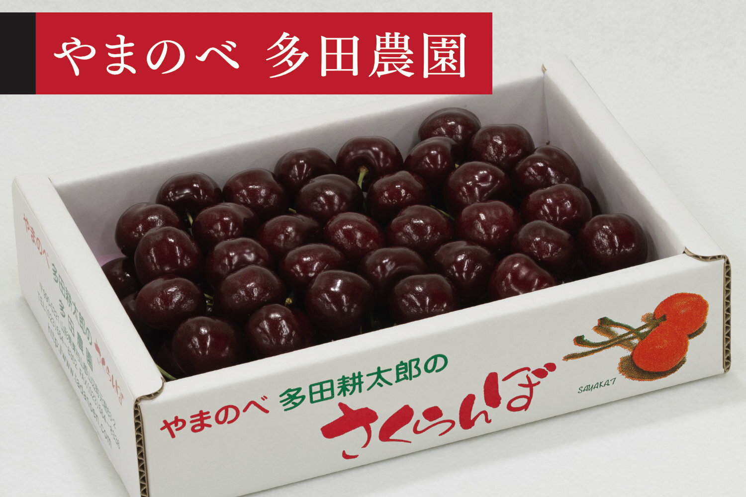 【ふるさと納税】《先行予約》2027年 山形県産 サミット バラ詰め 約700g やまのべ多田耕太郎のさくらんぼ サクランボ tn-smx2b700