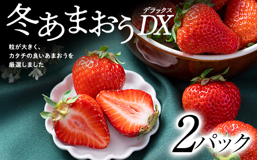 
フルーツソムリエが選んだ＜冬＞ あまおうDX ( デラックス ) 2パック _ あまおう いちご 苺 イチゴ ギフト プレゼント 贈り物 送料無料 【1353643】
