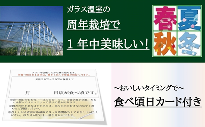 クラウンメロン　山クラス　６玉入　出荷箱【配送不可：離島】