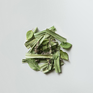 ハーバルティー ホーリーバジルブレンド ティーリーフ 6袋入り ｜ ハーブティー ティー リーフ ブレンド カフェインレス ノンカフェイン KINTO