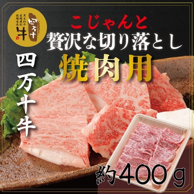 四万十牛こじゃんと贅沢な切り落とし(焼肉用・400g) R5-530