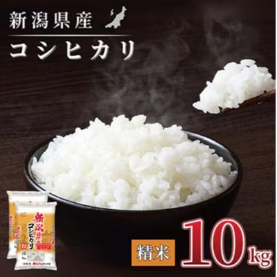 ふるさと納税 見附市 【毎月定期便】【6か月定期便】新潟県産 コシヒカリ 10kg (精米)全6回