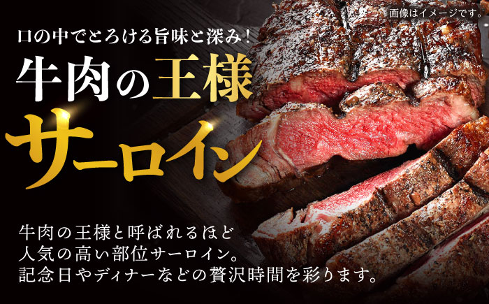 【6回定期便】サーロイン ステーキ 400g（200g×2枚） / サーロインステーキ 長崎和牛 A4～A5ランク 希少部位 / 諫早市 / 野中精肉店 [AHCW028]