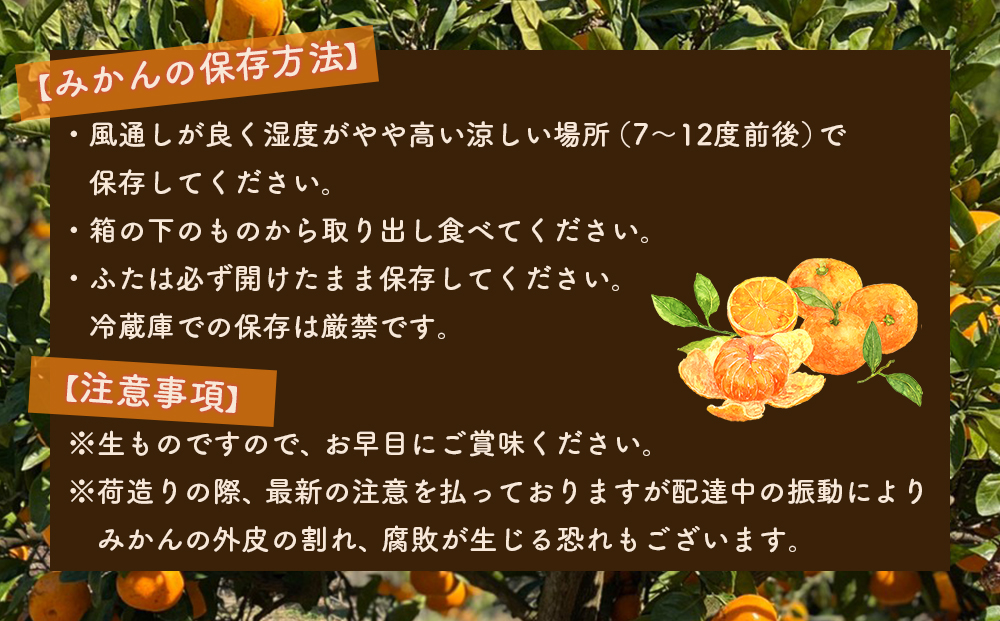 山城農園 和歌山県産 有田みかん 5kg 混サイズ 農園直送 ORYY 人気No.1 口コミ多数！   BA17_イメージ5