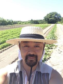 北海道の超スイーツコーンホワイト種プラチナコーンΧ満喫10本セット