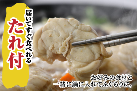 【TVで紹介されました】【2025年10月19日より順次発送】若狭ふぐ鍋セット [冷凍] 4人前｜旅サラダ ふぐ フグ 若狭ふぐ ふぐ鍋 ひれ酒 新鮮 豪華 贅沢 薬味 年末年始 海鮮 鮮魚 養殖 と