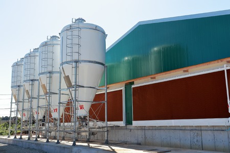 元気豚　炙り焼きチャーシュー 700g【不定貫】_炙り焼き チャーシュー 焼き豚_【配送不可地域：離島・沖縄県】 TAKB047