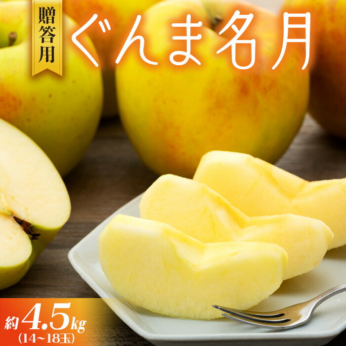 【ふるさと納税】りんご ぐんま名月 4.5kg 14～18玉 贈答用 果物 くだもの フル−ツ 林檎 リンゴ ぐんま名月りんご 信州りんご 旬の果物 旬のフルーツ ギフト 贈り物 プレゼント 長野 長野県 箕輪町　お届け：2026年11月上旬～11月下旬