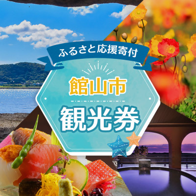エンジョイ館山観光券 3,000円分【1655702】