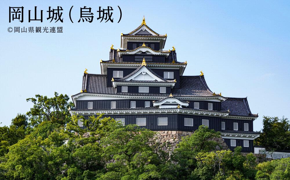 岡山県岡山市ANAトラベラーズホテル割引クーポン 3，000点分