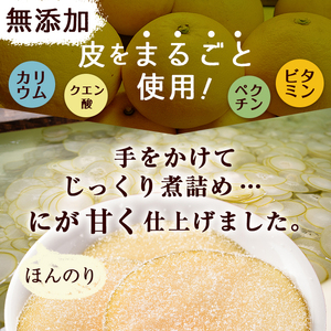 南国銘菓！果実の王様ぼんたん漬(青切・160g入×8袋)文旦 ボンタン お菓子 おやつ 和菓子 セット 小分け 個包装【泰平食品】a-12-126