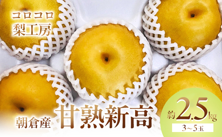 【先行予約】 梨 新高梨 甘熟 味に自信あり！！約2.5kg  3～5玉入 梨