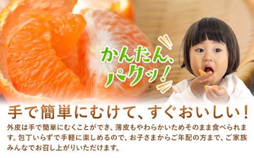 特撰 極甘 和歌山県産 濃厚 ポンカン 約2kg 有田マルシェ《1月中旬-2月下旬頃発送予定》和歌山県 日高町 国産 ぽんかん 柑橘 果物 フルーツ ギフト 送料無料