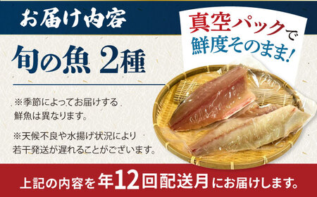 【全12回定期便】金澤仕立て 鮮魚ボックス 旬の魚2種 鮮魚 簡単 旬 海鮮 真空 冷蔵 五島市/金沢鮮魚[PEP011]