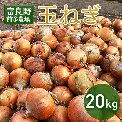 【ふるさと納税】【先行予約】玉ねぎ　1箱(20kg)_ 玉ねぎ たまねぎ 野菜 やさい 北海道 富良野 人気 おすすめ 送料無料 産地直送 お取り寄せ しゃきしゃき ポトフ 前多農場 【1308643】